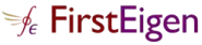 FirstEigen Logo