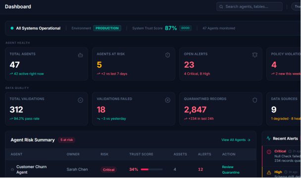 AI Agent Input Validation