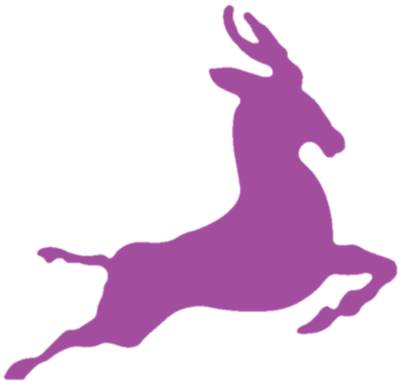 DataBuck logo